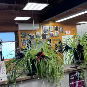 salon2024-2